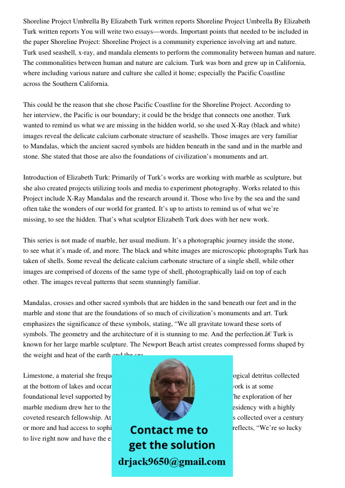 You will write two essays—words. Important points that needed to be included in the paper Shoreline Project: Shoreline Project is a community experience involving art and nature. Turk used seashell, x-ray, and mandala el